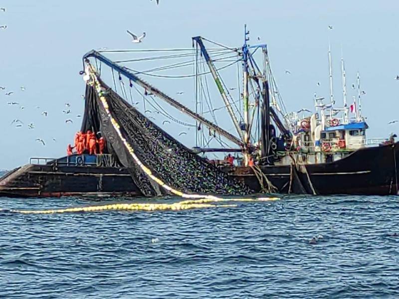Chimbote: Demandan cierre de segunda temporada de pesca de anchoveta 