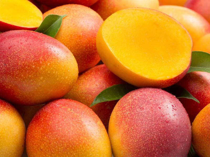 Casma: Con cuento de la guerra ofrecen bajos precios a productores de mango 