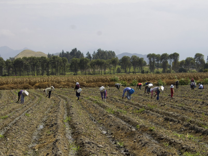 Elecciones 2021: Avanza País promete apoyar la agroexportación
